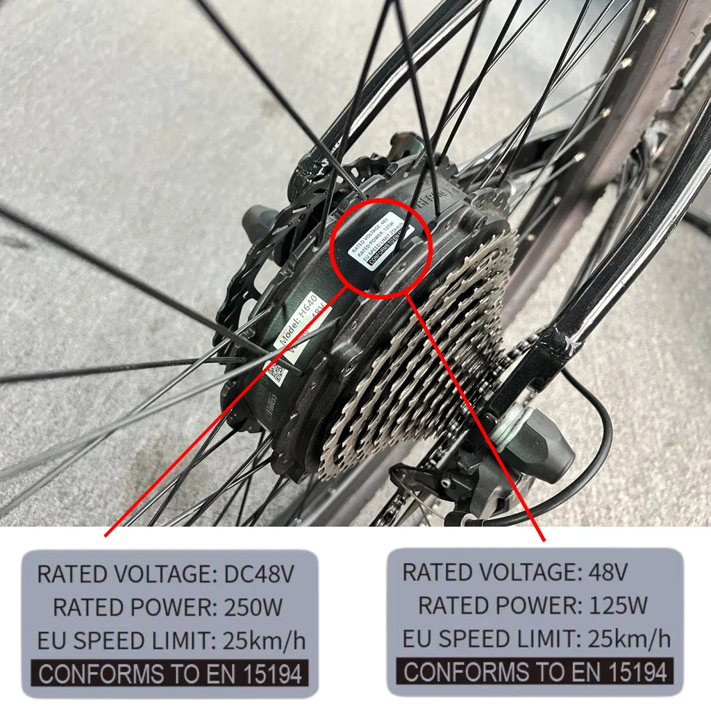 Ebike modification kit stickers,36V 48V 250W Electric Bike Lable,Compataible for Bafang Tongsheng and other Brand Conversion Kit