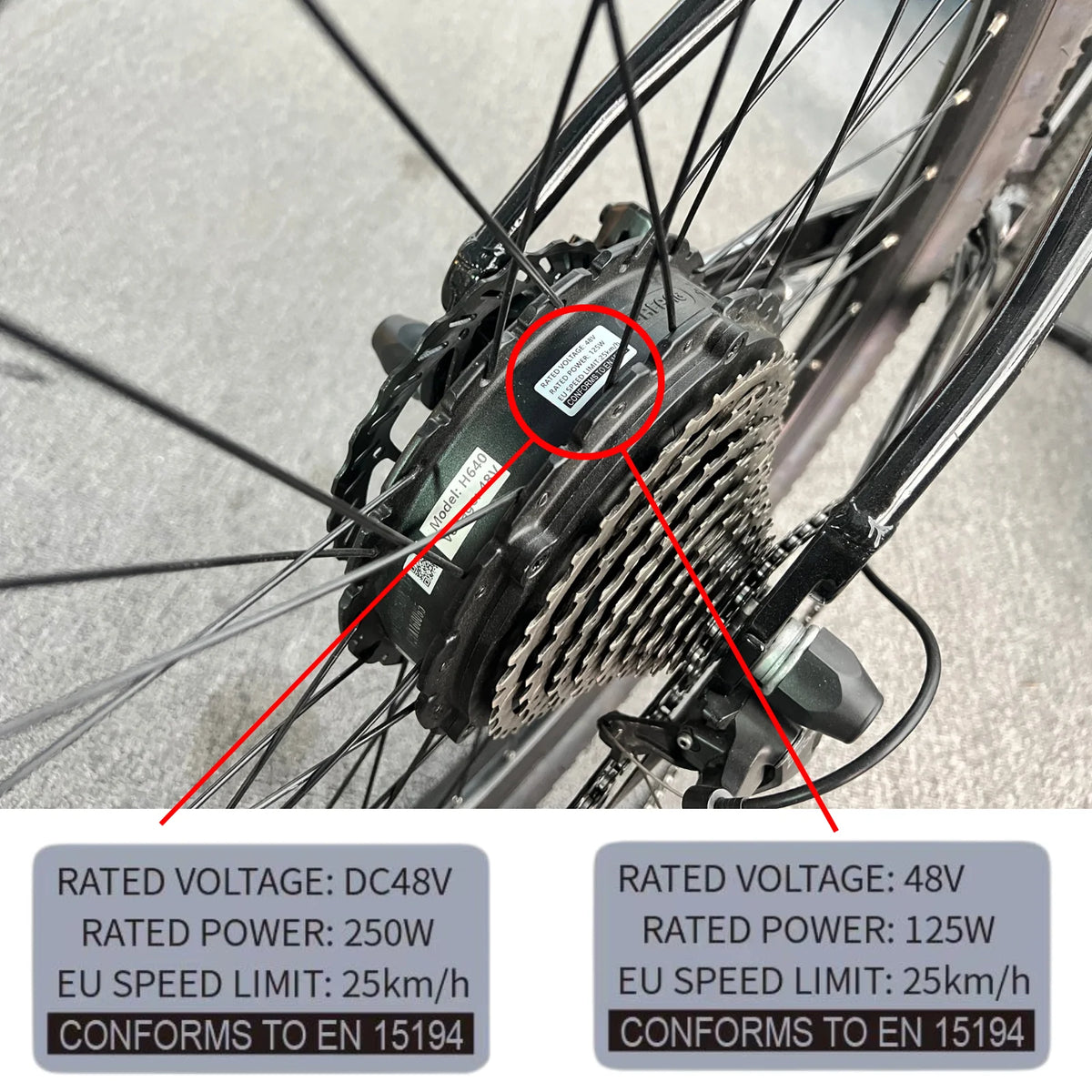 Ebike modification kit stickers,36V 48V 250W Electric Bike Lable,Compataible for Bafang Tongsheng and other Brand Conversion Kit